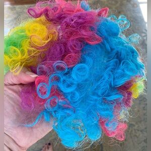 Youth Rainbow Clown Wig
